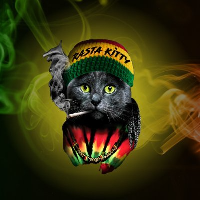 Rasta Kitty Token