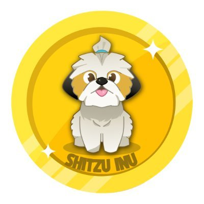 Shih Tzu Inu