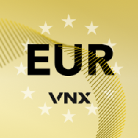 VNX Euro